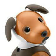 aibo ers-1000