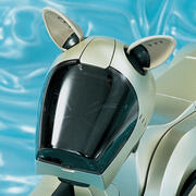 aibo ers-210