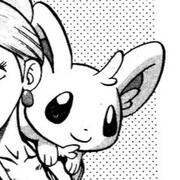 minccino