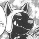 poochyena