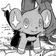 shinx