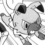 rockruff