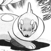 buizel