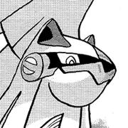 silvally